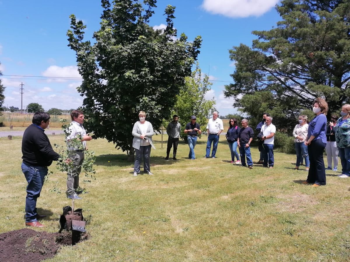 Plantamos vida en conmemoración por Nodocentes fallecidos en pandemia 1